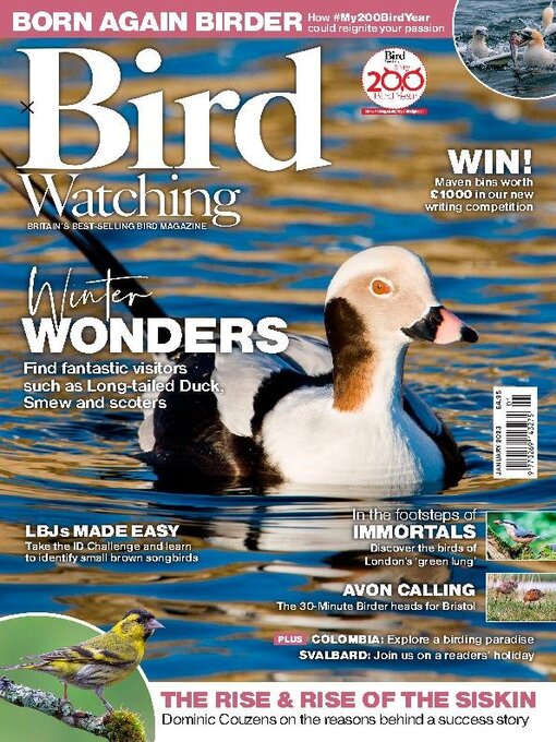Cover image for Bird Watching 